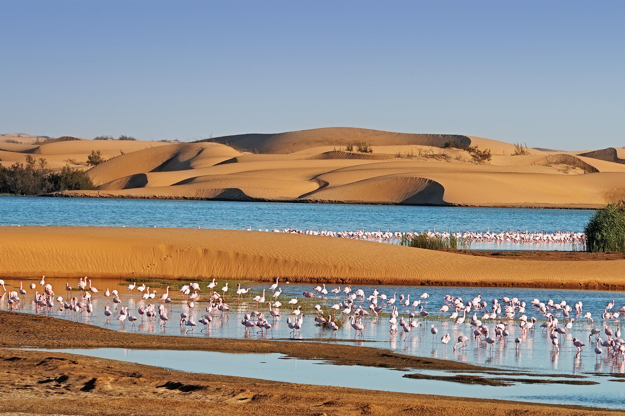 Walvis Bay, Nambia, Africa